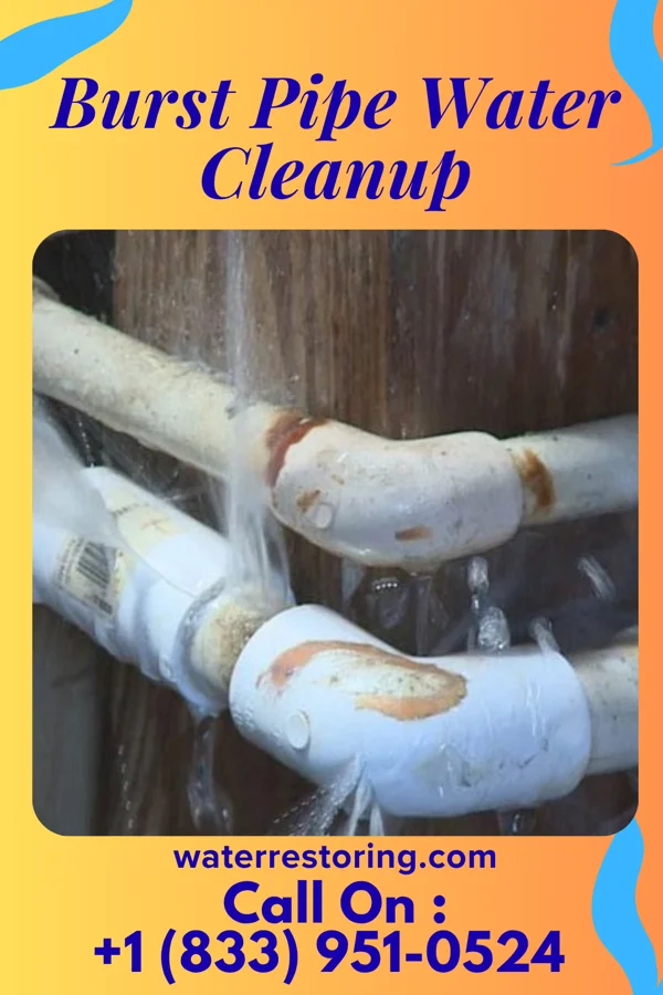 Burst Pipe Water Cleanup in Ketchuptown, SC