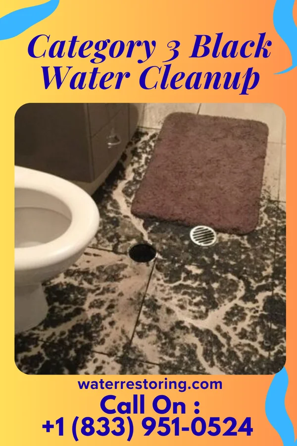 Category 3 Black Water Cleanup in Ketchuptown, SC