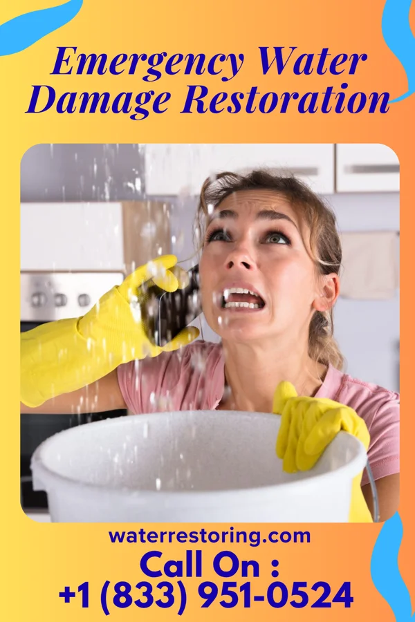 Emergency Water Damage Restoration in Ketchuptown, SC