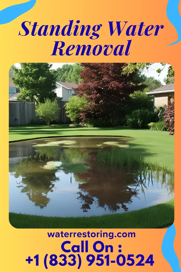 Standing Water Removal in Ketchuptown, SC